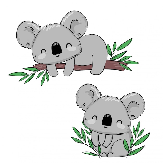 Premium Vector | Hand drawn koala on the tree branch. hand drawn cute ...