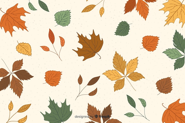 Free Vector | Hand drawn leaves autumn background