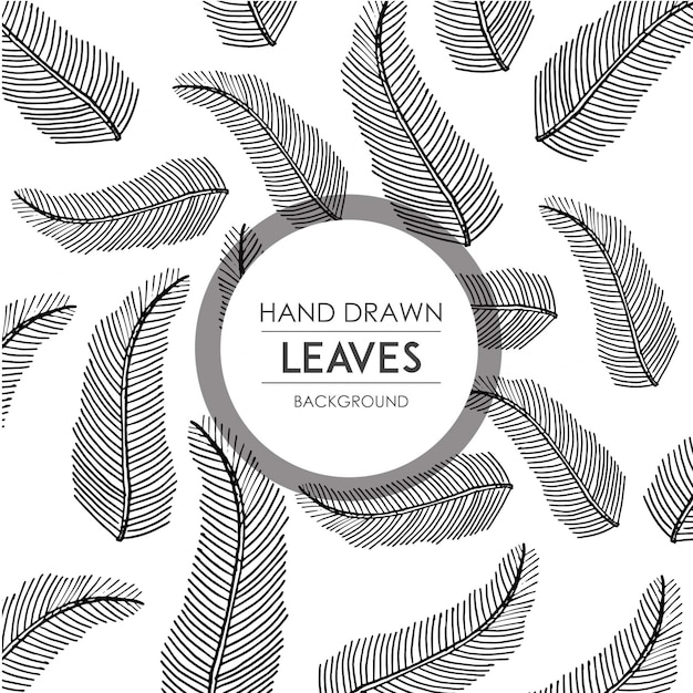 Download Free Vector | Hand drawn leaves background
