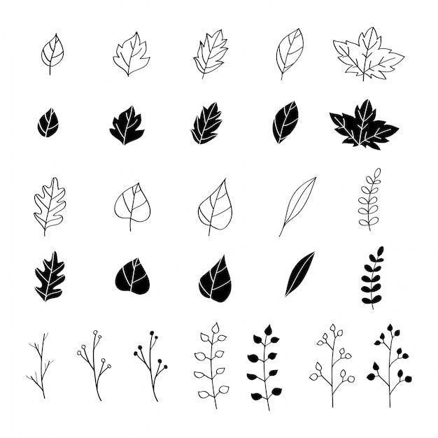 Free Vector Hand Drawn Leaves Collection
