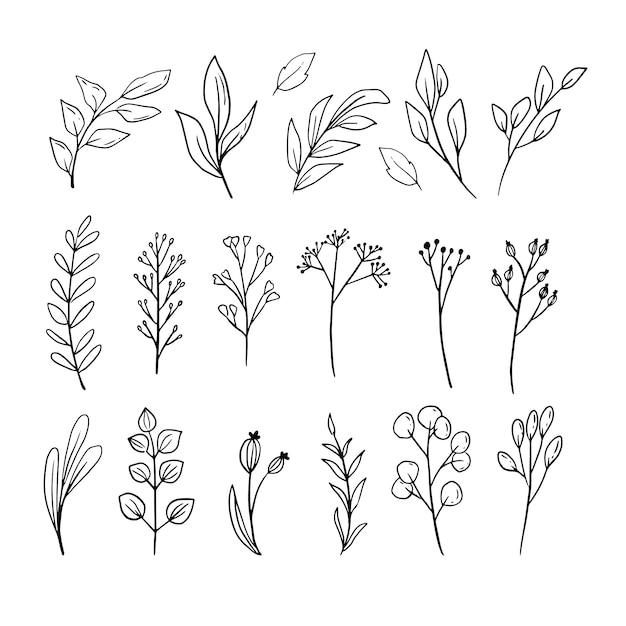 Download Hand drawn leaves line art ornament set collection Vector ...