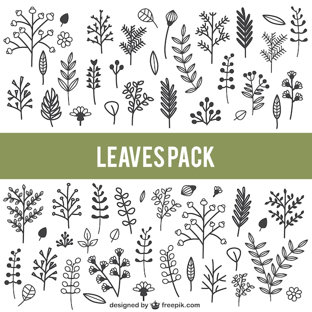 Hand drawn leaves pack