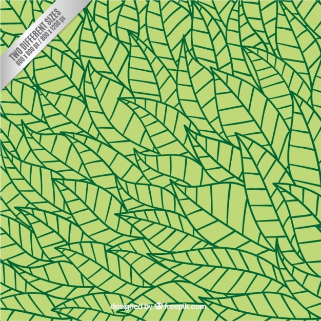 Free Vector Hand Drawn Leaves Pattern