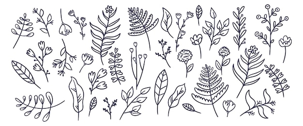 Free Vector | Hand drawn lineal flower collection