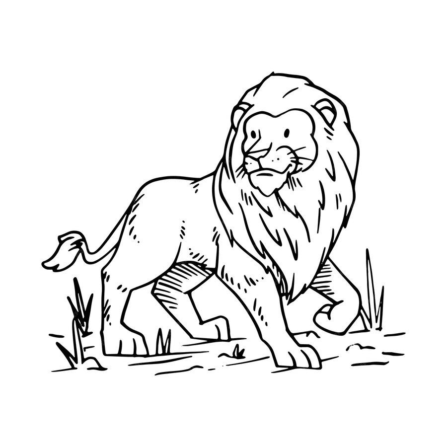 Free Vector | Hand drawn lion outline illustration