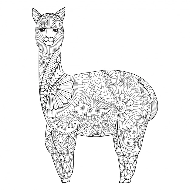 Download Hand drawn llama background Vector | Free Download