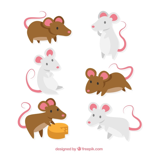 Free Vector | Hand drawn mice collection