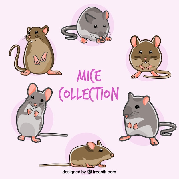 Free Vector | Hand drawn mice collection