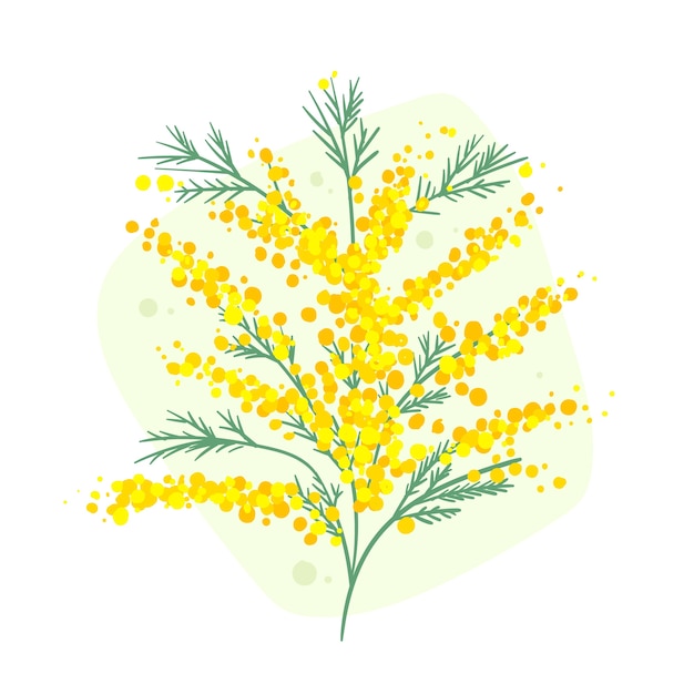 Free Vector | Hand drawn mimosa illustration