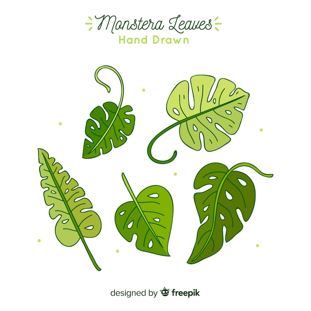 Hand drawn monstera leaves pack | Free Vector