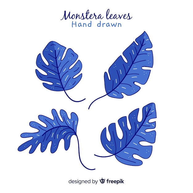 Free Vector | Hand drawn monstera leaves pack