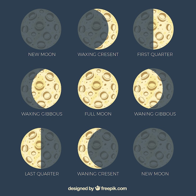 Hand drawn moon phases Vector | Free Download