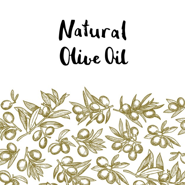 Hand drawn olive branches with place for text Premium Vector