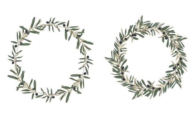 Premium Vector | Hand drawn olive leaf frame for greeting card or ...