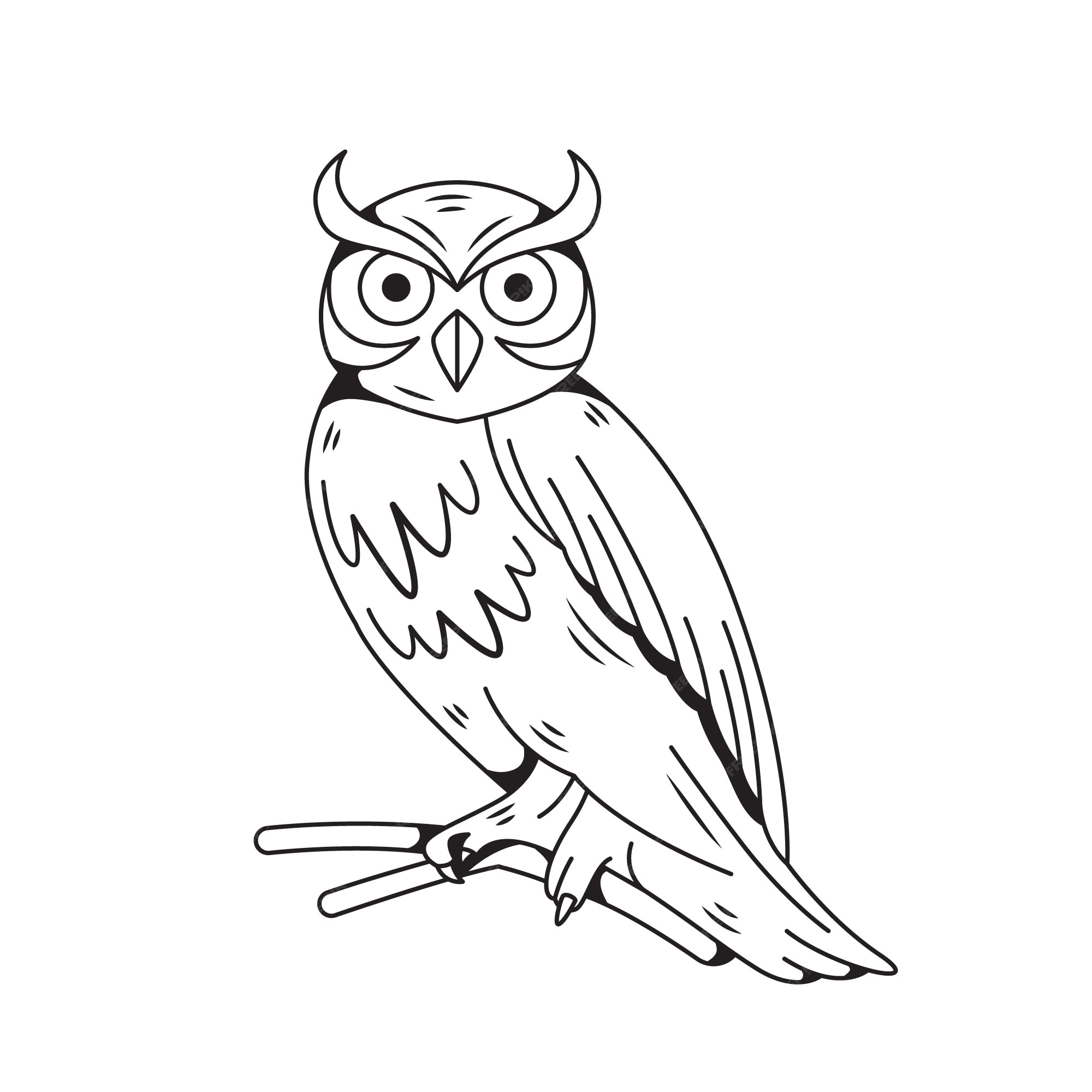 Premium Vector Hand drawn owl outline illustration