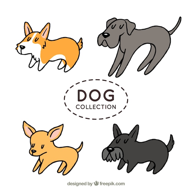 Hand-drawn pack of four dogs