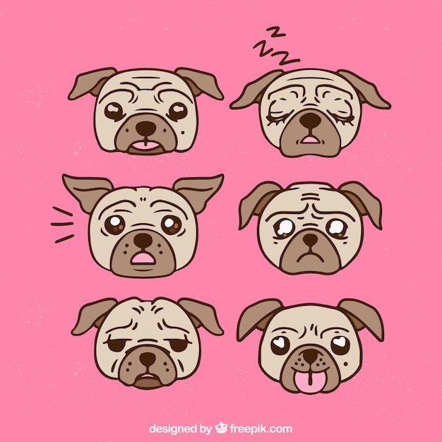 Hand drawn pack of pug faces
