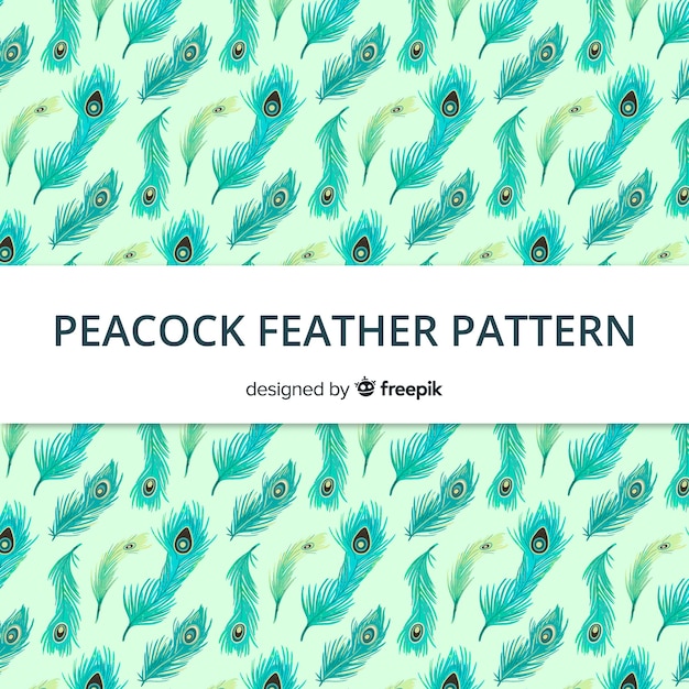 Download Hand drawn peacock feather pattern collection | Free Vector