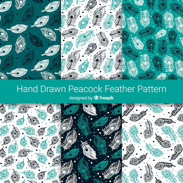 Hand drawn peacock feather pattern collection Free Vector