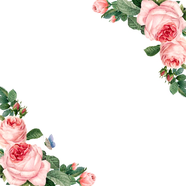 Hand drawn pink roses frame on white background vector Free Vector