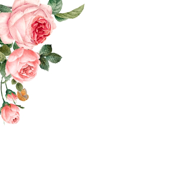 Free Vector | Hand drawn pink roses frame on white background vector
