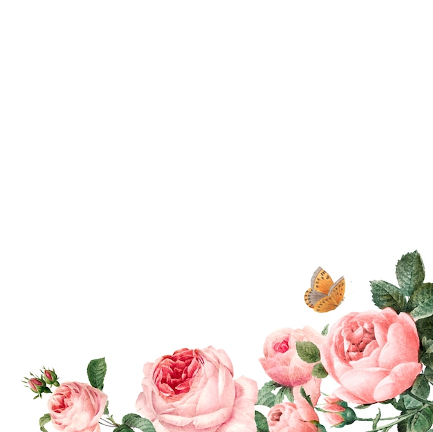 Hand drawn pink roses frame on white background vector Free Vector