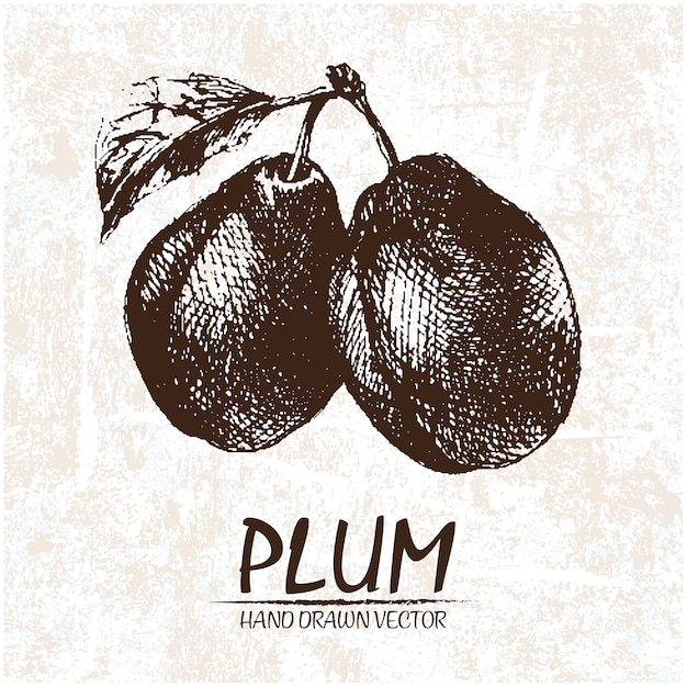 download italian plums for free