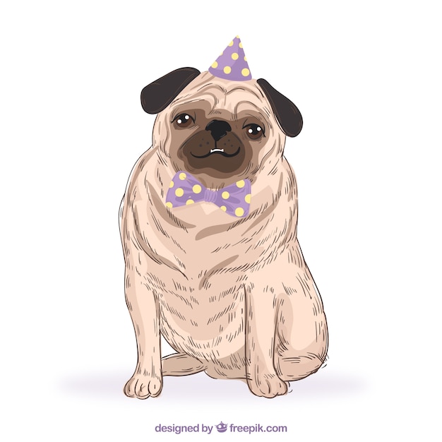 Hand drawn pug with party hat
