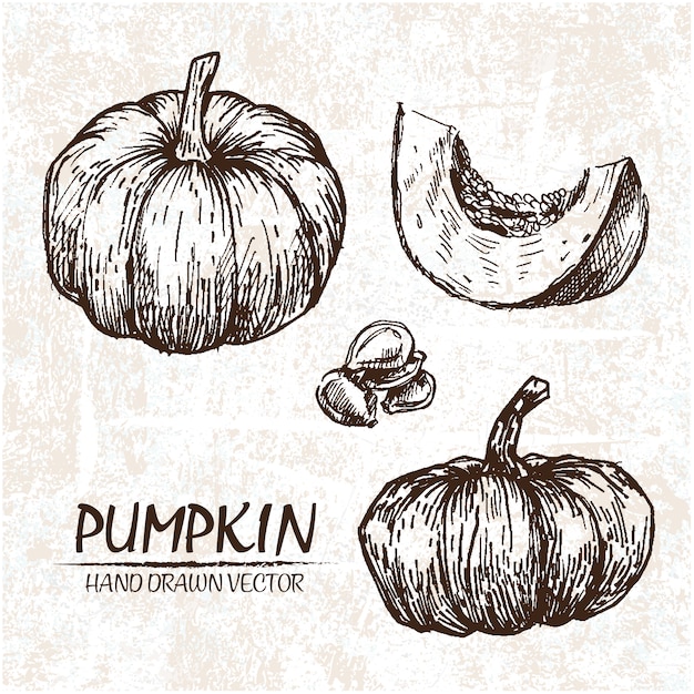 Download Free Vector | Hand drawn pumpkin design