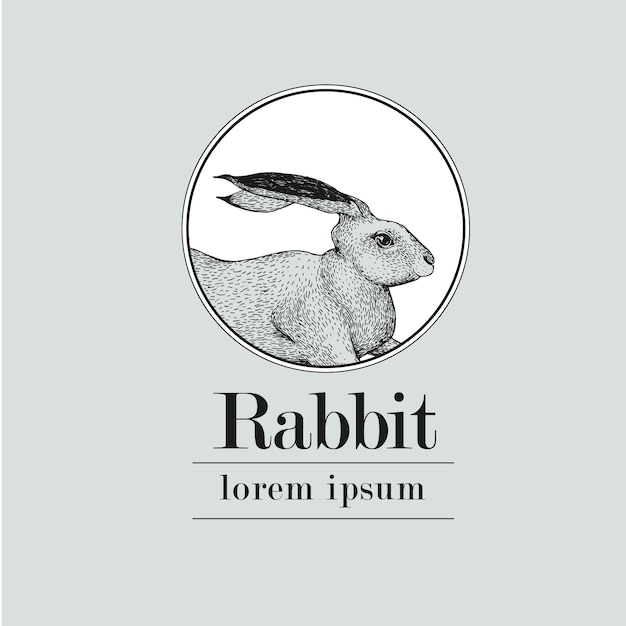 Premium Vector | Hand drawn rabbit logo template. retro vintage illustration.