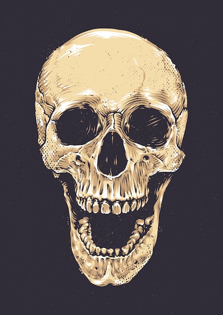 Download Free Vector | Hand drawn realistic skull