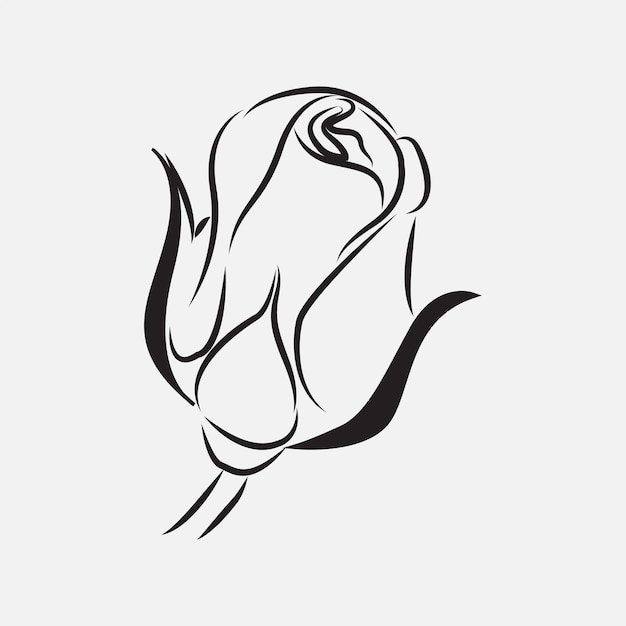 Premium Vector Hand Drawn Rose Floral Illustration