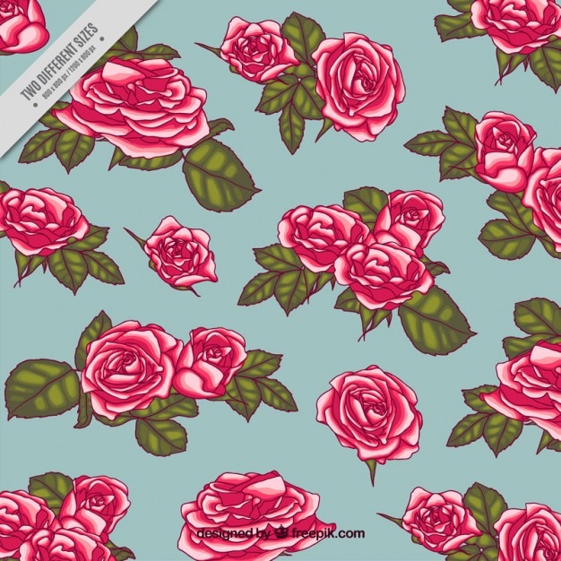 Hand drawn roses background with leaves