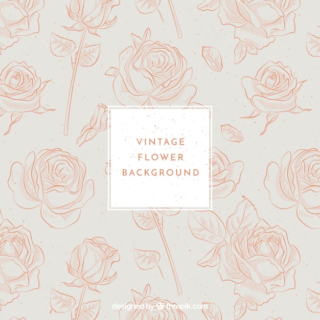 Hand drawn roses background