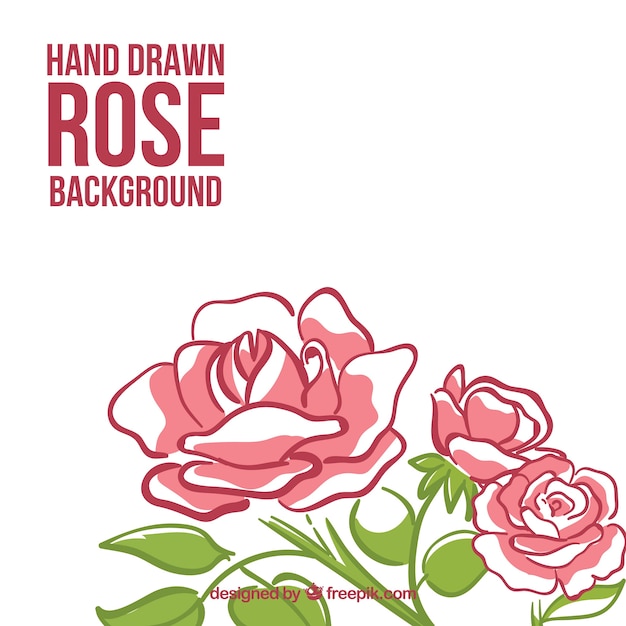 Hand drawn roses background