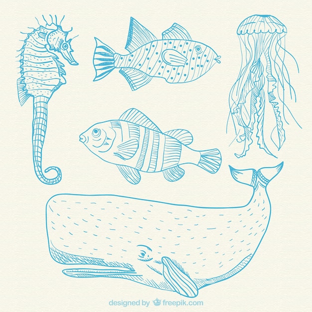 Free Vector | Hand drawn sea animals
