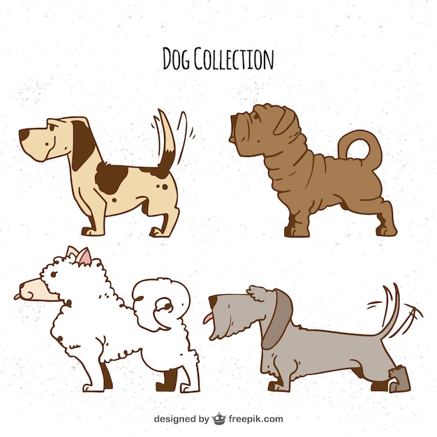 Hand-drawn selection of four profile\
dogs