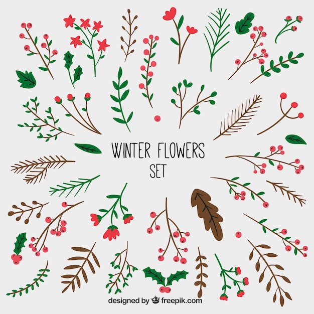 Handdrawn set of winter flowers Vector Free Download