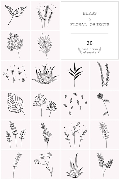 Hand drawn set of vector herbs and floral objects. Premium Vector