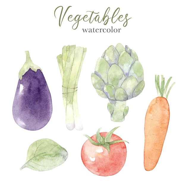 Premium Vector Hand Drawn Set Of Watercolor Vegetables