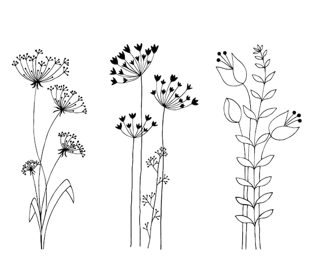 Hand drawn set of wild flowers | Premium Vector