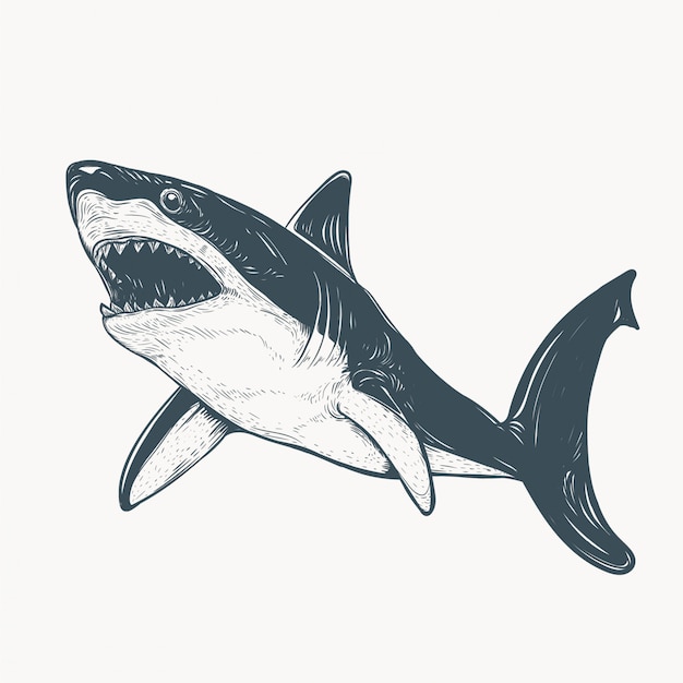 手描きのサメのイラスト プレミアムベクター