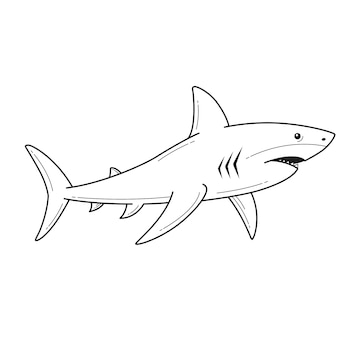 Free Vector | Hand drawn shark outline illustration