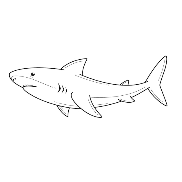 Free Vector | Hand drawn shark outline illustration