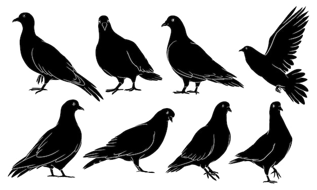 鳩の手描きのシルエット プレミアムベクター