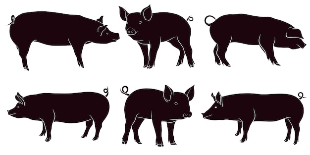 Download Hand drawn silhouette of pig | Premium Vector