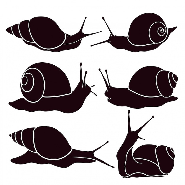 Premium Vector Hand Drawn Silhouette Of Snail