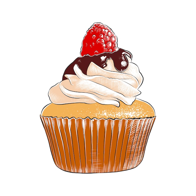 Premium Vector Hand Drawn Sketch Of Colorful Cupcake