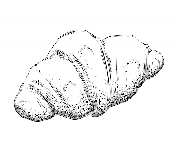 Premium Vector Hand drawn sketch of croissant in black isolated