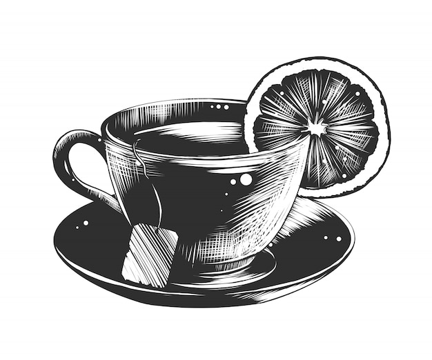 Premium Vector | Hand drawn sketch of a cup of tea with lemon